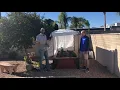 Thrive and Grow Gardens in Tucson Arizona