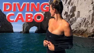 Scuba Diving Cabo San Lucas – S2:E11