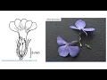 Teaching Plant Systematics in a Pandemic
