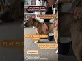 Learn the Effleurage Massage technique for your dog