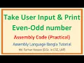 Lec 39 Take user input and Print Even-Odd number Assembly Language Bangla Tutorial
