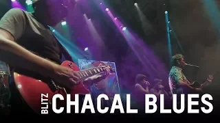 Blitz -  Chacal Blues (Ao Vivo)