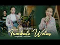 Download Lagu Dini Kurnia - Tumbale Welas [Official Live Music Video]