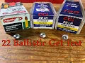CCI Stinger vs Aguila Supermaximum vs CCI Mini Mag 22 LR Gel Test