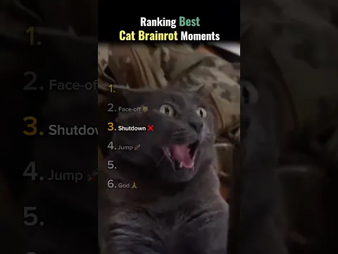 Ranking Funniest “Cat Brainrot” Moments 🙀🧠
