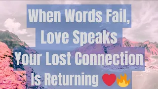 They Didn T Forget You The Universe Is Bringing Love Back 