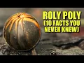 Roly Poly 10 FACTS You NEVER KNEW