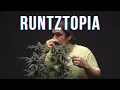 Runtztopia White Runtz x OMFG Seed to Harvest to Live-Rosin by ELEV8 SEEDS in AC Infinity 5x10