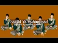 Download Lagu Habibi Ya Muhammad ~ Riyan Miladi Achmad (Banjari)