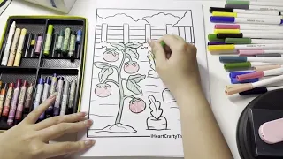 Color a picture of a tomato plant