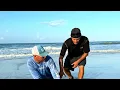 2026 Spinner Shark