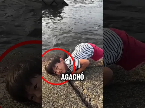 🦀😱 ¡Este niño metió la mano en un agujero y sacó algo inesperado!