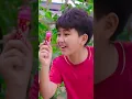 Download Lagu Chiếc Kẹo Mất Tích | Minh Khoa #Shorts