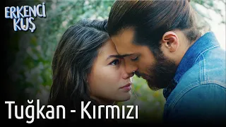 Erkenci Kuş | Tuğkan - Kırmızı