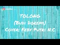 Tolong-Budi doremi cover feby putri c.n LIRIK