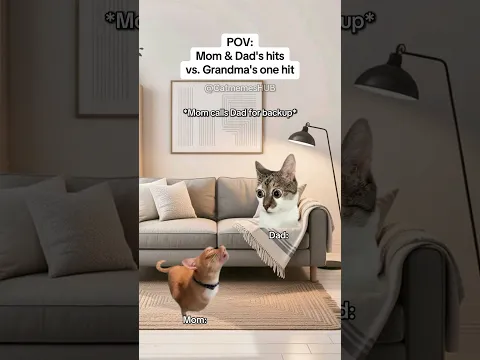 CAT MEMES 🐱Mom & Dad's Hits vs. Grandma's One Hit #catmemes #relatable #relationship
