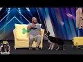 Adrian Stoica and Hurricane Full Performance Story America s Got Talent 2023 Auditions Week 5