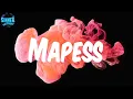 Niska - Mapess (Lyrics)