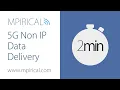 5G Non IP Data Delivery - Mpirical