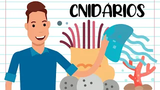 RESUMO - CNIDÁRIOS