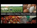Download Lagu Good Agricultural Practices (G.A.P.) Food Safety Certification
