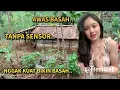 Download Lagu Awas Bagi yang Belum Menikah❗❗ KEHIDUPAN PETANI SAYUR DI DESA TERPENCIL DI LERENG GUNUNG UNGARAN