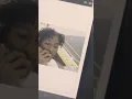 Unreleased NBA Young Boy recorded in jail
