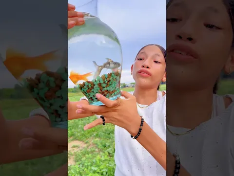 Pececitos necesitan un hogar