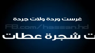 Lyrics J Ai Planté Une Fleur غرست وردة ولات جردة Coming Soon 