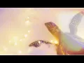 문별 (Moon Byul) 1st Full Album [Starlit of Muse] 로고 모션