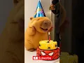 Download Lagu Happy Birthday, Capybara Spider Man Theme🍰 #cute #capybara #funnyanimals #healing #happybirthday