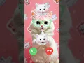 Download Lagu Like it Ringtone 🎶 2025 wow #shorts #ringtone #cat