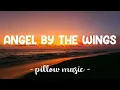 Download Lagu Angel By The Wings - Sia (Lyrics) 🎵