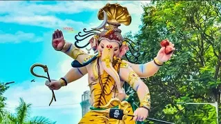 santacruz cha vigneshwar 2019 aagman sohala 