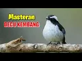 Download Lagu Masteran Decu Kembang Tledekan Sulingan Agar Cepat Gacor