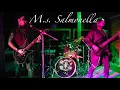 Download Lagu M.s.  Salmonella (Cover)