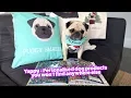 Yappy com - Personalised dog products you won t find anywhere else