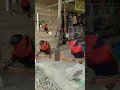 Download Lagu Cantiknya Burung Nuri Papua, Bisa Ngomong 😁
