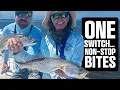 Download Lagu One Lure Change Turned a Slow Morning Into an 80” Slam