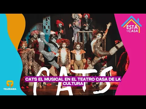 Cats el Musical en el Teatro casa de la Cultura
