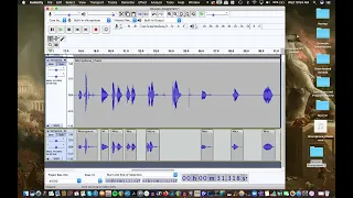 Assignment 1 Tutorial