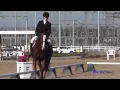 162D McKenna Goodson on Enchanted JR Beginner Novice Dressage FCHP November 2014