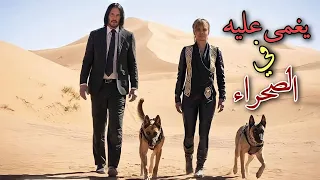 شخص يتعرض للمطاردة بسبب ارتكابه لخطأ وكل من يقتلة يحصل على مبلغ ضخم جدا ملخص John Wick 3 