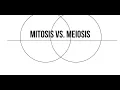 Mitosis vs Meiosis Venn Diagram
