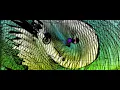Live It Up (High Tide) - Surfaces - Music Visualization - Trippy - 4K