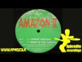 Download Lagu DJ Aphrodite / Amazon II - Deep In The Jungle (1994)