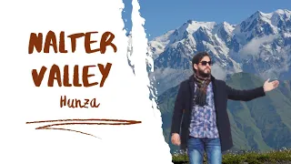 Download Nalter Valley Adventures | Embracing Winter's Charm in Gilgit-Baltistan | Junaid Raza with Friends 🧡 MP3
