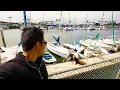 Pros and Cons of Living in Marina Del Rey