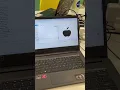 Python Turtle Graphics How Kids Can Code the Apple Logo Beginner Programming Singapore 2023