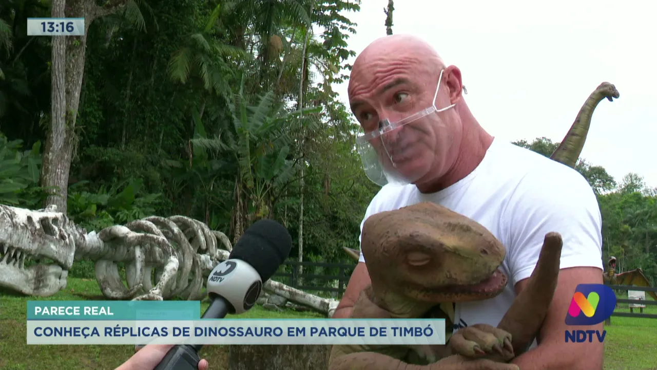 Conheça réplicas de dinossauros em parque de Timbó